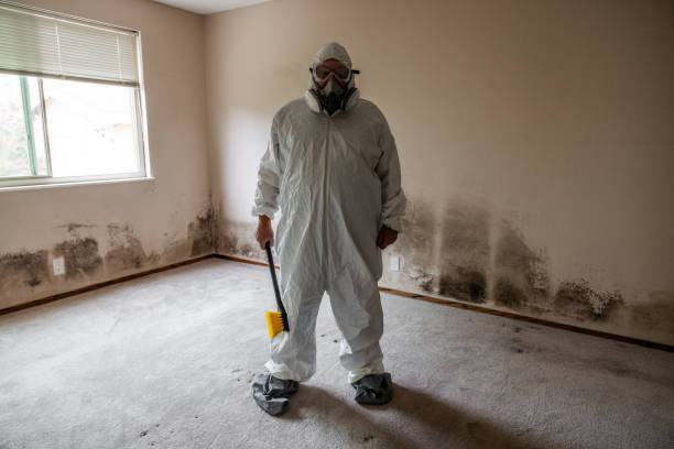 Best Residential Mold Removal  in Sloatsburg, NY